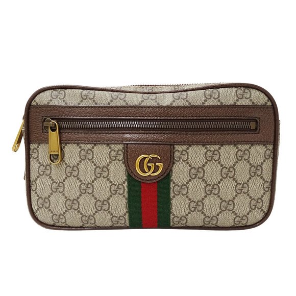 GUCCI Brown Fanny Pack - Picture 1 of 15